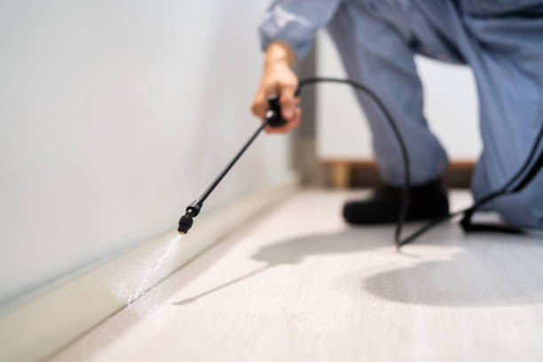 Bed Bug Pre-Treatment Preparation Assessment in Eureka Mill